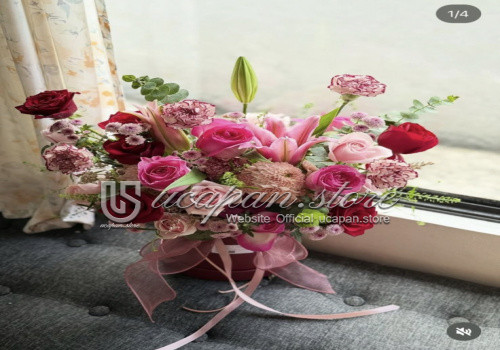 IMG-PRODUCT